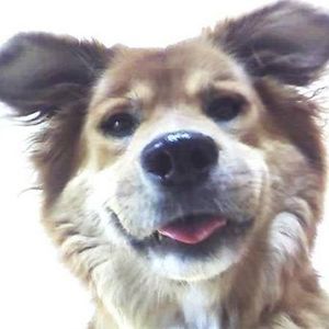 Meet your Posher, Paula